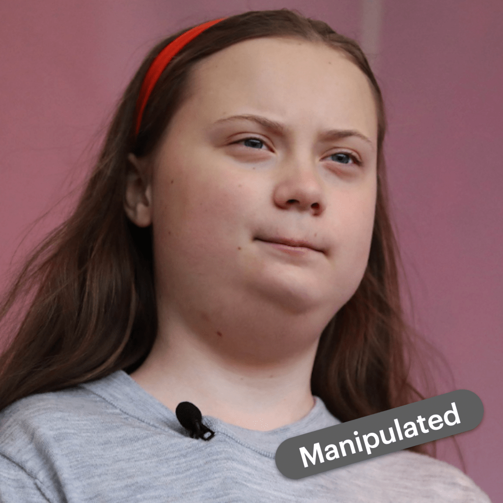 Digitally manipulated image of Thunberg