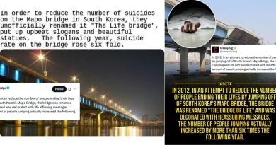 Analysis: Narratives on ‘botched’ suicide prevention messages at Seoul’s Mapo Bridge