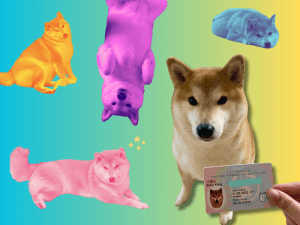 Pet dog Ruby with her own Hong Kong pet identity card