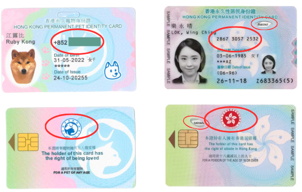 Comparison of pet Hong Kong identity card and Hong Kong identity card for humans