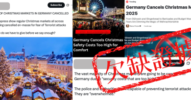 分析：2025德國聖誕市集大多如期舉行 未如傳聞大規模因保安成本取消