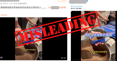 Misleading: ‘Fake Chinese sea cucumber’ videos actually show vegan food and chocolate dessert