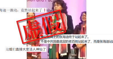 虛假：網傳殘疾作家張海迪站立影片實為人工智能生成