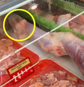 The ‘foot’ end of the meat (circled in yellow) shows hoof-like features.