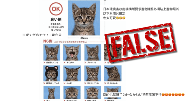 Viral cat photo ID guide is a meme, not a Japanese pet license requirement