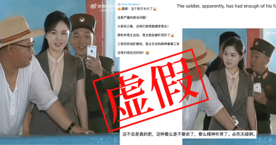 虚假：网传军服男子与李雪主自拍视频疑似AI生成