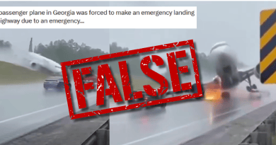 False: Video does not show a real plane crash in the US state of Georgia
